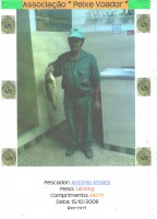 /album/simbolo/record-jpg/